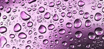 Body coating コーティング 画像